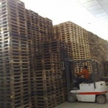 empresa reciclaje pallets