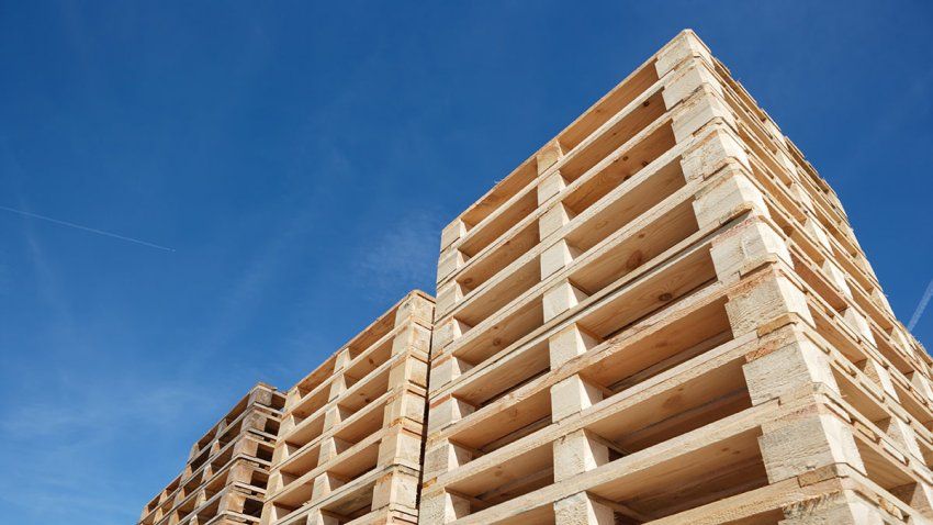 empresa de reciclaje de palets