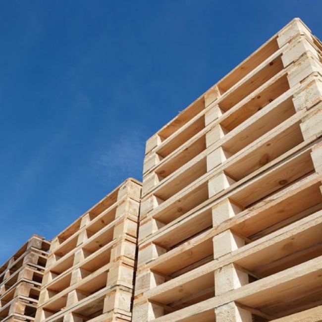 empresa de reciclaje de palets